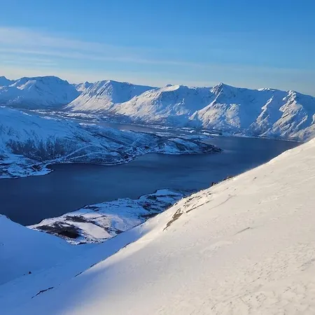 Rossgarden, Lyngen